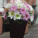 گلفروشی سی تو (ارسال رایگان)