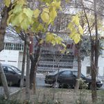 مشاورین املاک خانه سبز