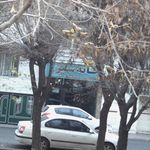 مشاورین املاک خانه سبز