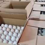 فروش کلی وجزئ تخم مرغ محلی تک زرده ودوزر