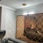 اسماعیل عباسپور کامبلاش