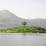 منطقه حفاظت گردیده ارژن