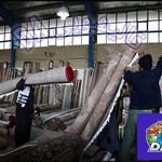 قالیشویی و رفوگری دا اسلامشهر،شبانه روزی