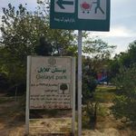 بوستان گلایل
