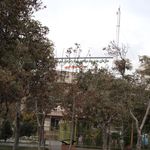 میوه فروشی حاج عباس قیصری