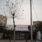 بازارچه میوه و تره بار باغ بهشت