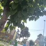 پارکینگ نقدی