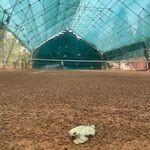 مربی تنیس هانیه اکبری مهر ATP Certified