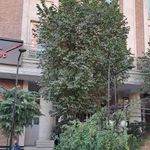 مجموعه ورزشی هتل تاوریژ