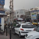 گیاهان دارویی شفا 