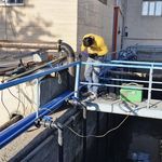 مهران امجدیان