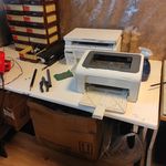 محمد علی باغجری