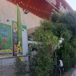 بازار روز کوثر 12