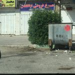 مرغ و پروتئین پرشین