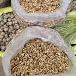 عسل فروشی محمدرضا خانی