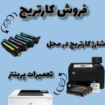 محمد علی باغجری