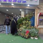 بازار میوه و تره بار هدایت