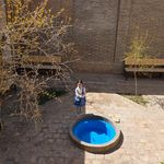 موزه تاریخ طبیعی