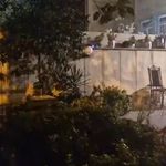 کلاس یوگا ماتسیا