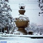 پارک جنگلی شهید بهشتی