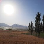 بانک صادرات ایران   آورگان
