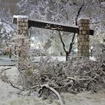 بوستان بنفشه