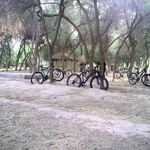 پارک جنگلی گمبوعه