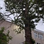 فرهنگسرای جهاددانشگاهی مشهد