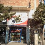 سیستم حفاظتی چیتا