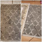 رضا قاضی ها