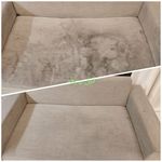 رضا قاضی ها