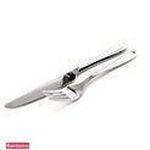 تهیه غذای رادین