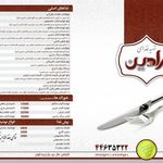 تهیه غذای رادین