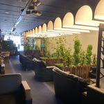 کافه آقای قهوه