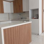 کابینت عباس آبادی