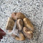 بازرگانی سنگ نیک