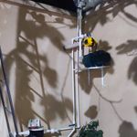 وحید پاشایی مراللو