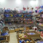 کیف و کفش طبسیا