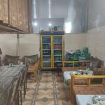 بیرون بر ساحل