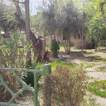 بوستان بهمن
