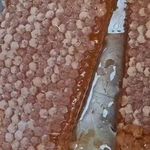 عسل طبیعی علی دادخواه