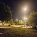 پارک شقایق