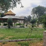 پارک شقایق