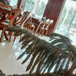 رستوران یاس