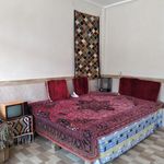 غذای محلی خانگی دوقلوها+۱