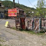 غذای محلی خانگی دوقلوها+۱