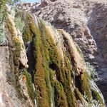 آبشار پونه زار