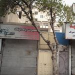 اسپرت پاسارگاد