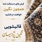 قالیشویی نگین پردیسان