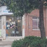 پیتزا نوجهان